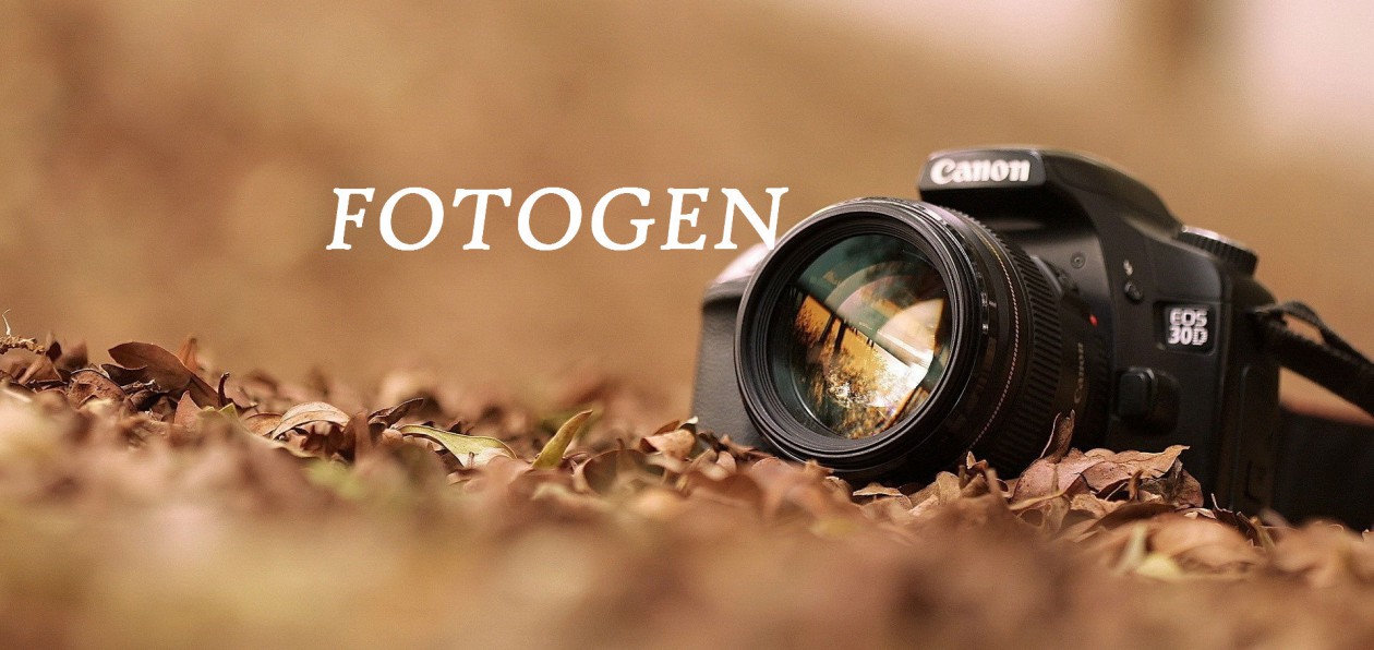 Fotogen